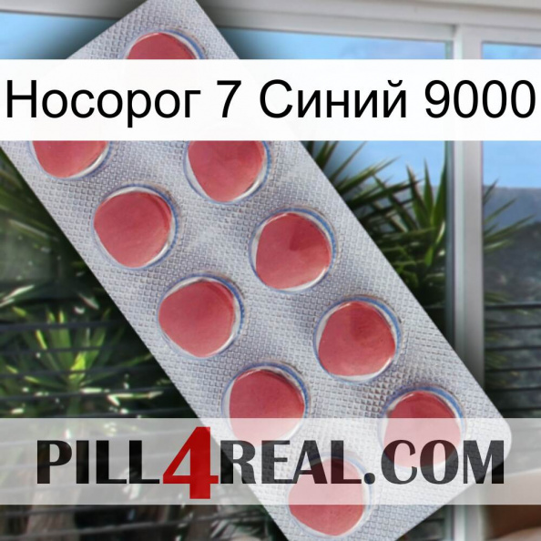 Носорог 7 Синий 9000 18.jpg